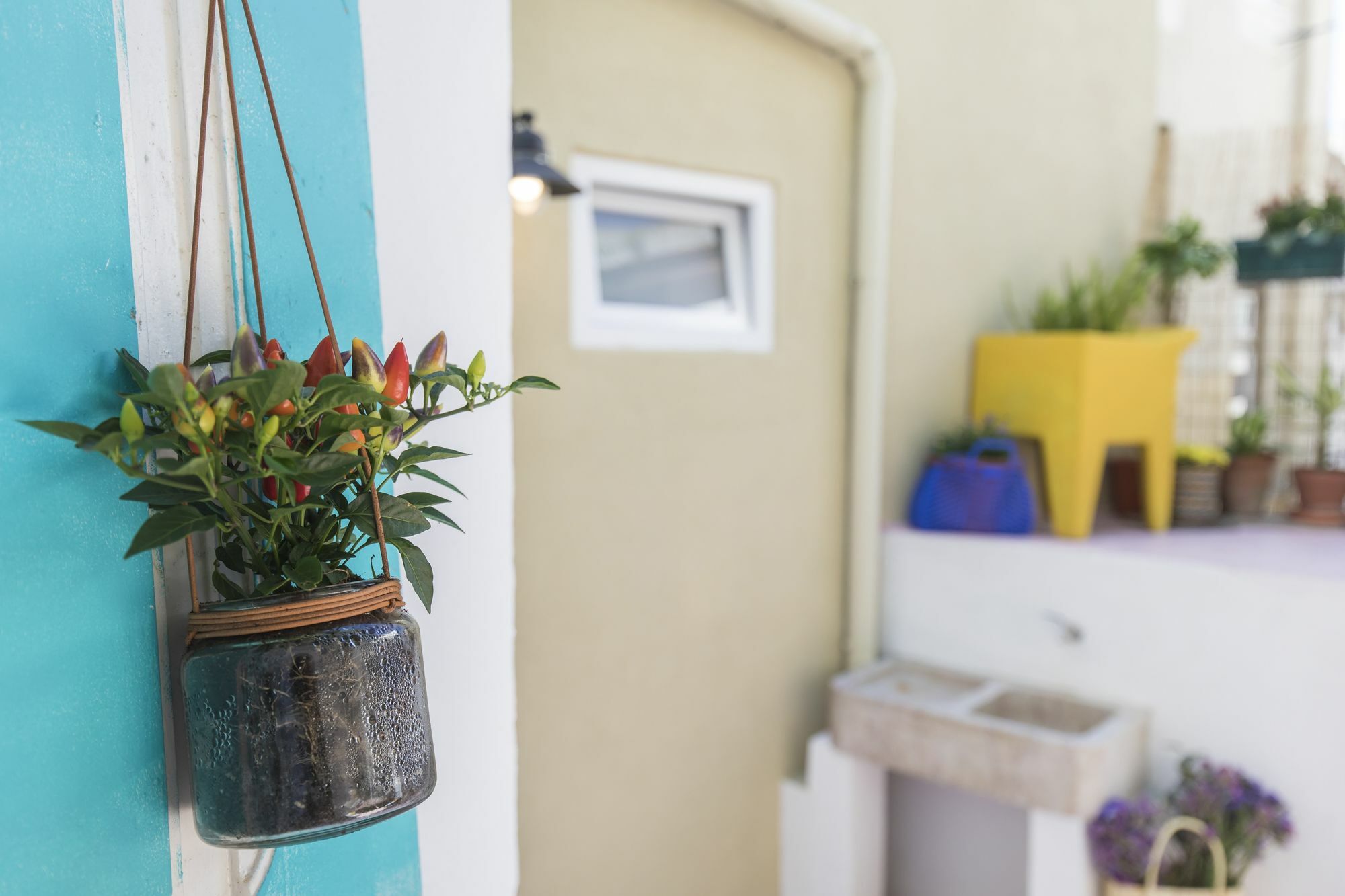 Blue Garden Apartment